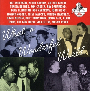 【輸入盤】What a Wonderful World