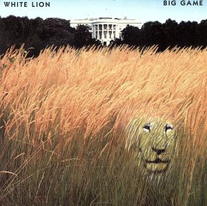 【輸入盤】Big Game