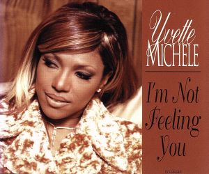 【輸入盤】Im Not Feeling You