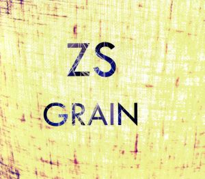 【輸入盤】Grain Ep