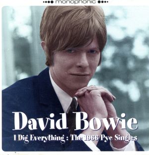 【輸入盤】I Dig Everything:The 1966 Pye Singles