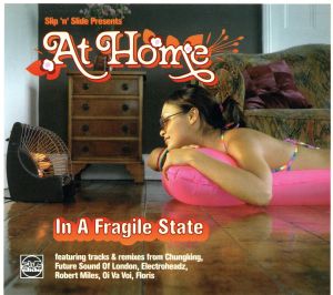 【輸入盤】At Home in a Fragile State