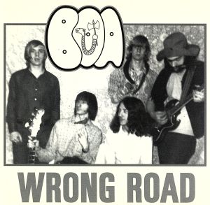 【輸入盤】Wrong Road