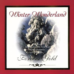 【輸入盤】Winter Wonderland