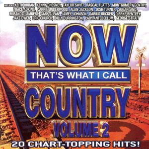 【輸入盤】Now That's What I Call Country 2