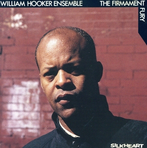 【輸入盤】The Firmament/Fury