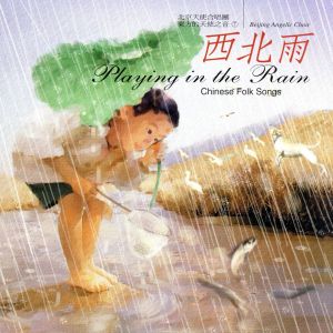 【輸入盤】Playing in the Rain