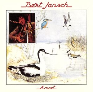 【輸入盤】Avocet