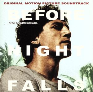 【輸入盤】Before Night Falls