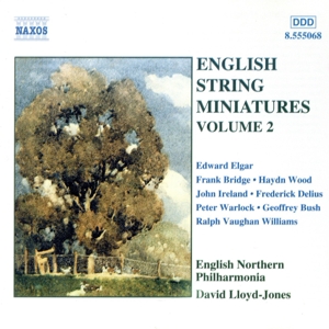 【輸入盤】English String Miniatures 2