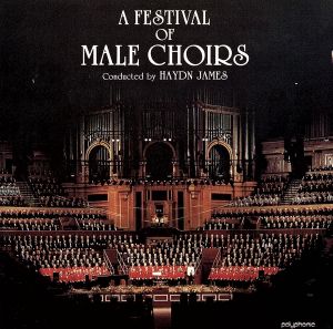 【輸入盤】A Festival of Male C