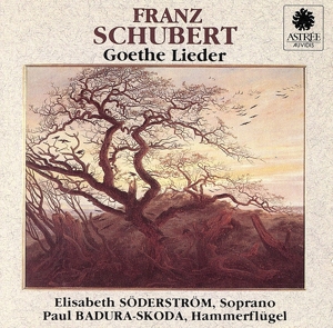 【輸入盤】Schubert;Goethe Lieder