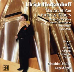 【輸入盤】Pipes and Tubes