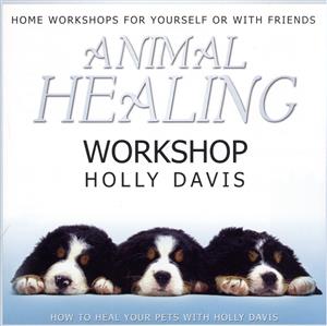 【輸入盤】Animal Healing Workshop