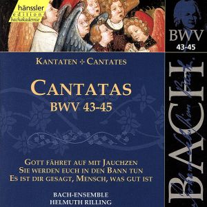 【輸入盤】Cantatas Bwv 43-45