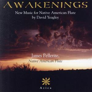 【輸入盤】Awakenings