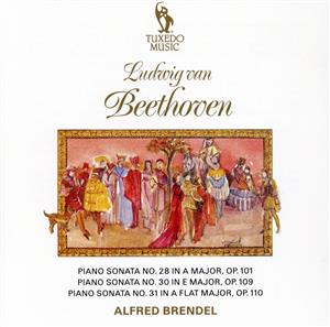 【輸入盤】Beethoven:Piano Sons 28 & 30