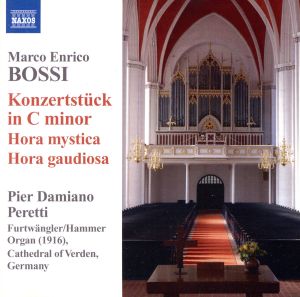 【輸入盤】Organ Music: Konzertstuck in C Minor/Hora Mystica/