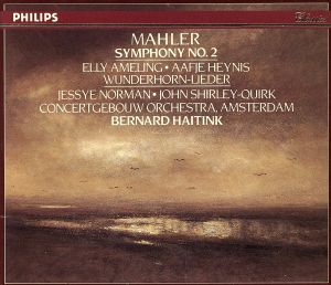 【輸入盤】Symphony 2 " Resurrection "