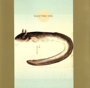 【輸入盤】Electric Eel