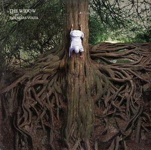 【輸入盤】The Widow