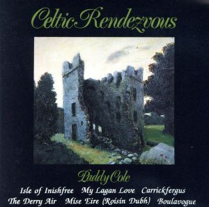 【輸入盤】Celtic Rendevous