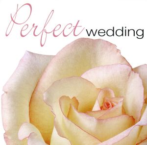 【輸入盤】Perfect Wedding