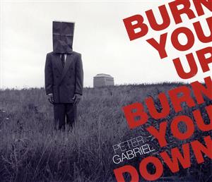 【輸入盤】Burn You Up, Burn You Down