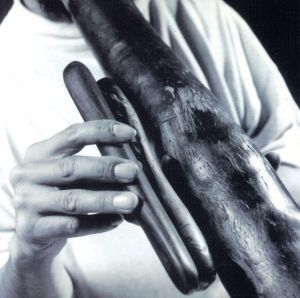 【輸入盤】Didgeridoo