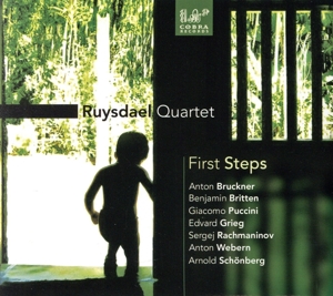 【輸入盤】First Steps (Dig)