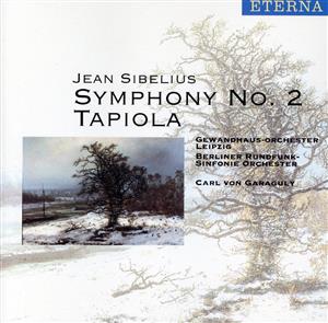 【輸入盤】Symphony No 2