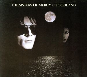 【輸入盤】Floodland (Dig)