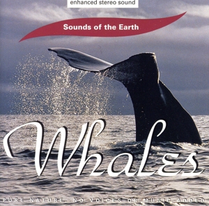 【輸入盤】Whales