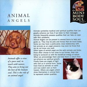 【輸入盤】Animal Angels