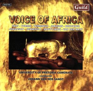 【輸入盤】Voice of Africa