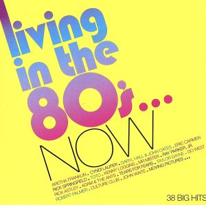 【輸入盤】Living in the 80's...Now