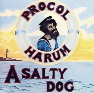 【輸入盤】Salty Dog