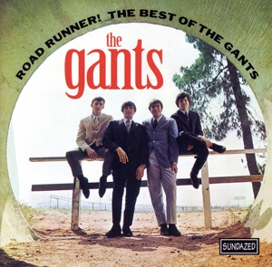 【輸入盤】Roadrunner-Best of the Gants