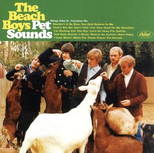 【輸入盤】Pet Sounds 40th Anniversary(CD+DVD)