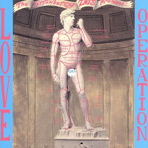 【輸入盤】Love Operation