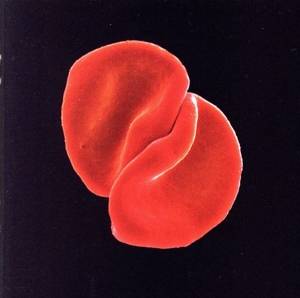 【輸入盤】Scratch My Back