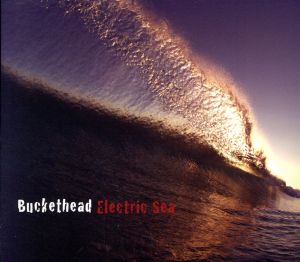 【輸入盤】Electric Sea