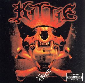 【輸入盤】Safe