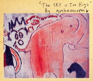 【輸入盤】The Sky Is Too High