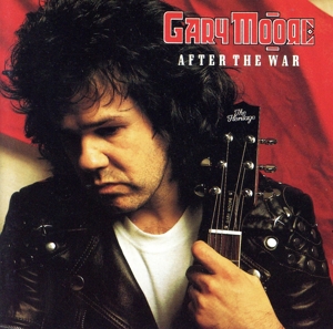 【輸入盤】After the War