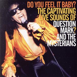 【輸入盤】Do You Feel It Baby？