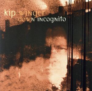 【輸入盤】Down Incognito