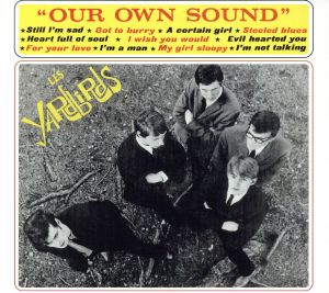 【輸入盤】Our Own Sound