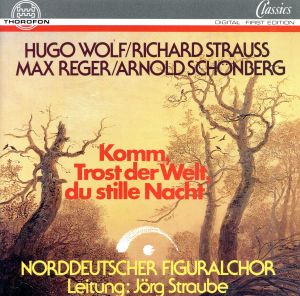 【輸入盤】WOLF/STRAUSS/REGER/SCHÖNBERG