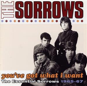 【輸入盤】Youve Got What I Want: Essential Sorrows 1965-67